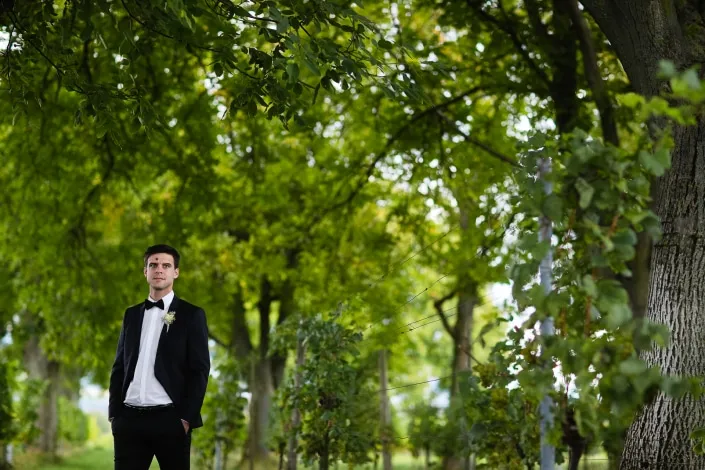 Hochzeit in den Weinbergen