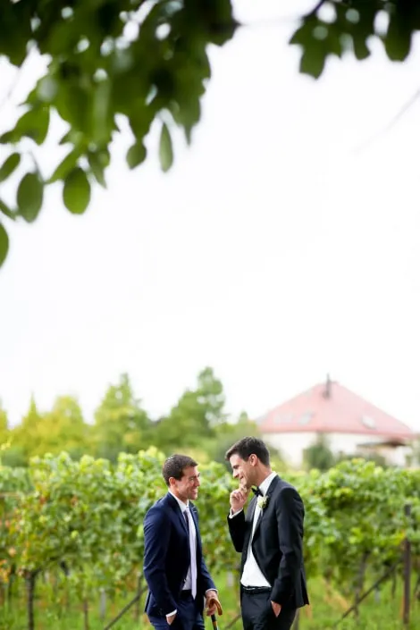 Hochzeit in den Weinbergen