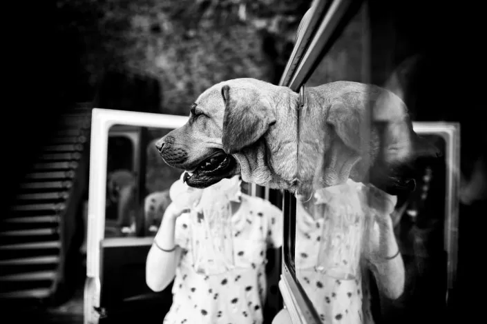 Hochzeitsfotos auf Schloss Romrod