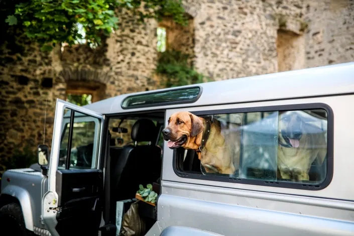 Hochzeitsfotos auf Schloss Romrod