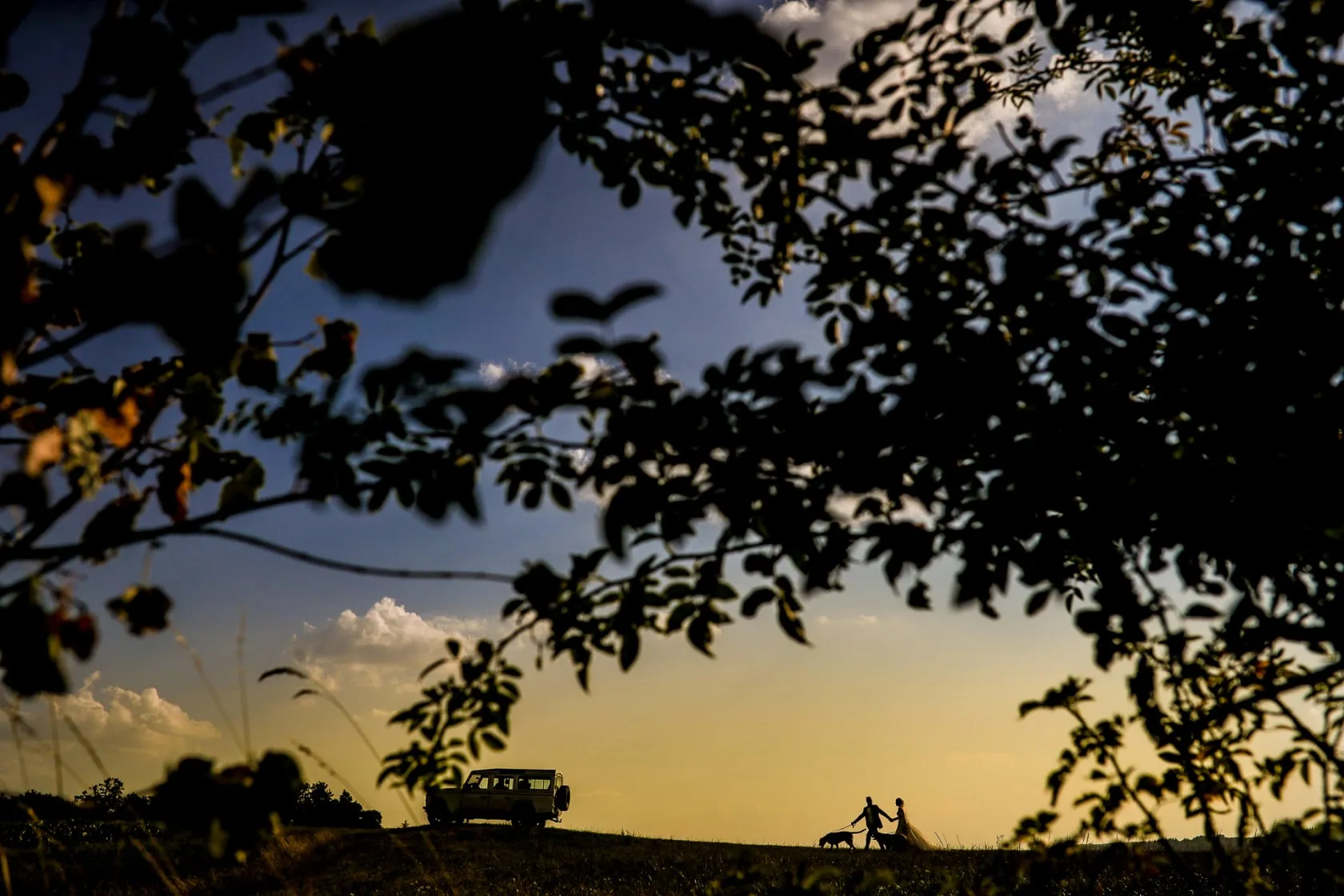 Hochzeitsfotos auf Schloss Romrod Schloss Romrod Brautpaar mit Hunden