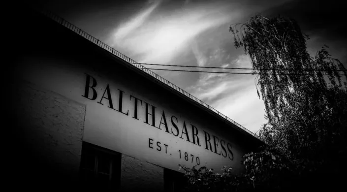 Hochzeit in Eltville Weingut Balthasar Ress