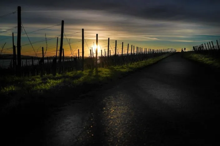 Hochzeitsfotografie-goldene-Stunde-Schloss Romrod