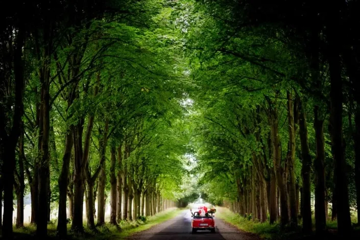 Hochzeitsfotografie in Kassel, Löwenburg und Schloss Wilhelmsthal